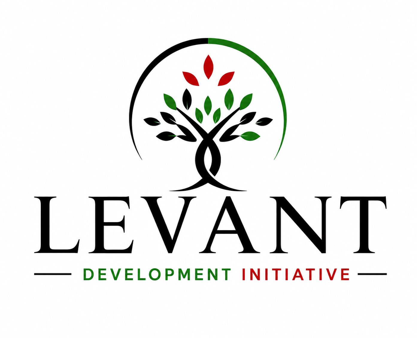 LEVANT DEVELOPMENT INITIATIVE